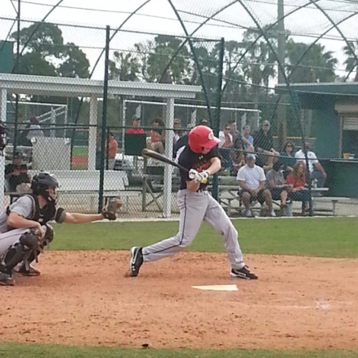 Bradwildcat24's profile picture. 