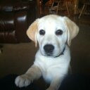 lynn souza - @souza_lynn - Twitter