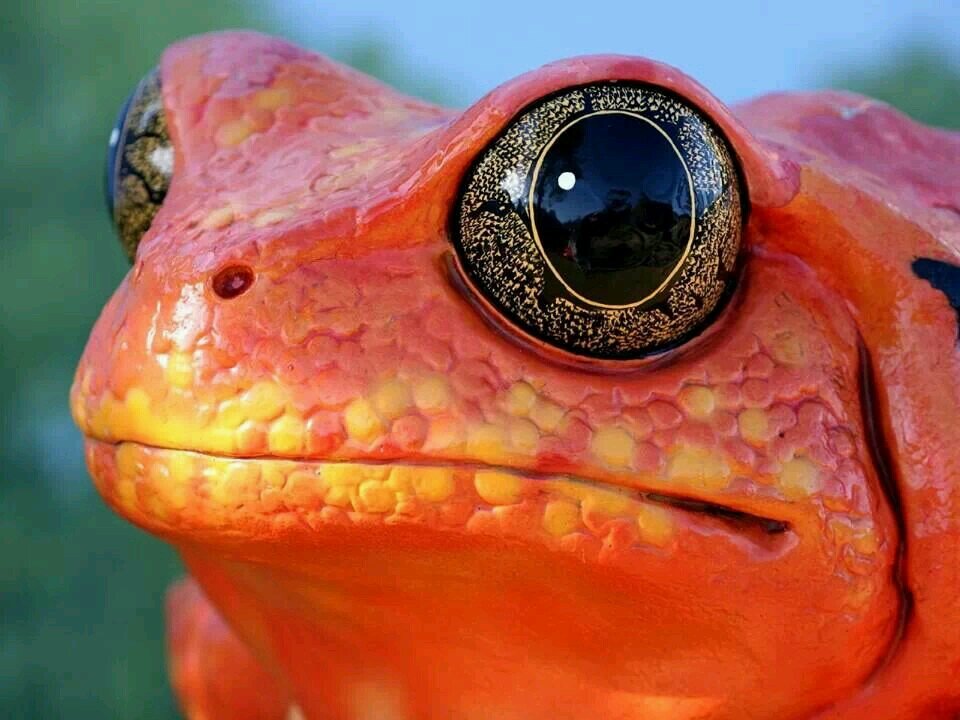 sushibandit's profile picture. 