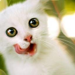 facebookdesign6's profile picture. http://t.co/ODyhNHazCW
http://t.co/eU1GSfGUkX
http://t.co/YvBxzFjgKk
http://t.co/VFm3xFBQBW
http://t.co/O0ylHaK74Y
http://t.co/ZsRncDtvRe