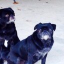 James Hader - @hader_james - Twitter