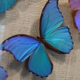 The art of personal transformation. Own your shining potential