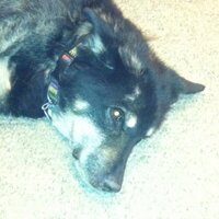 Tom Schoenberg (@tschoenberg22) 's Twitter Profile
