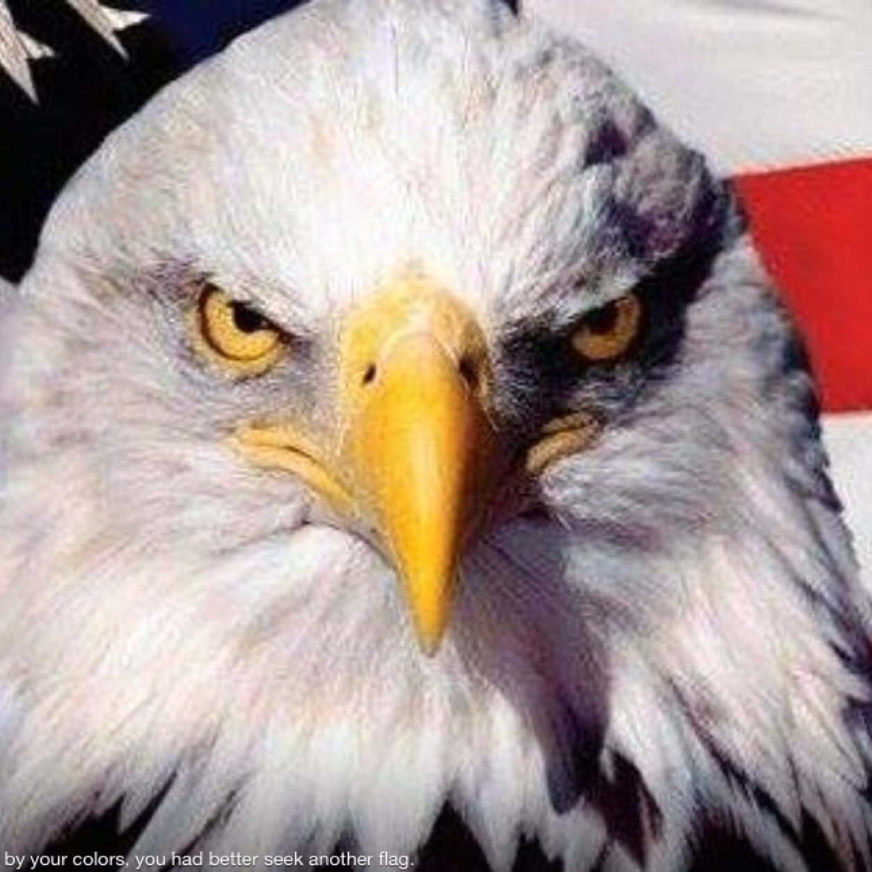 markthompsonfaa's profile picture. 