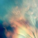 Beverly Bruno - @AuntB410 - Twitter