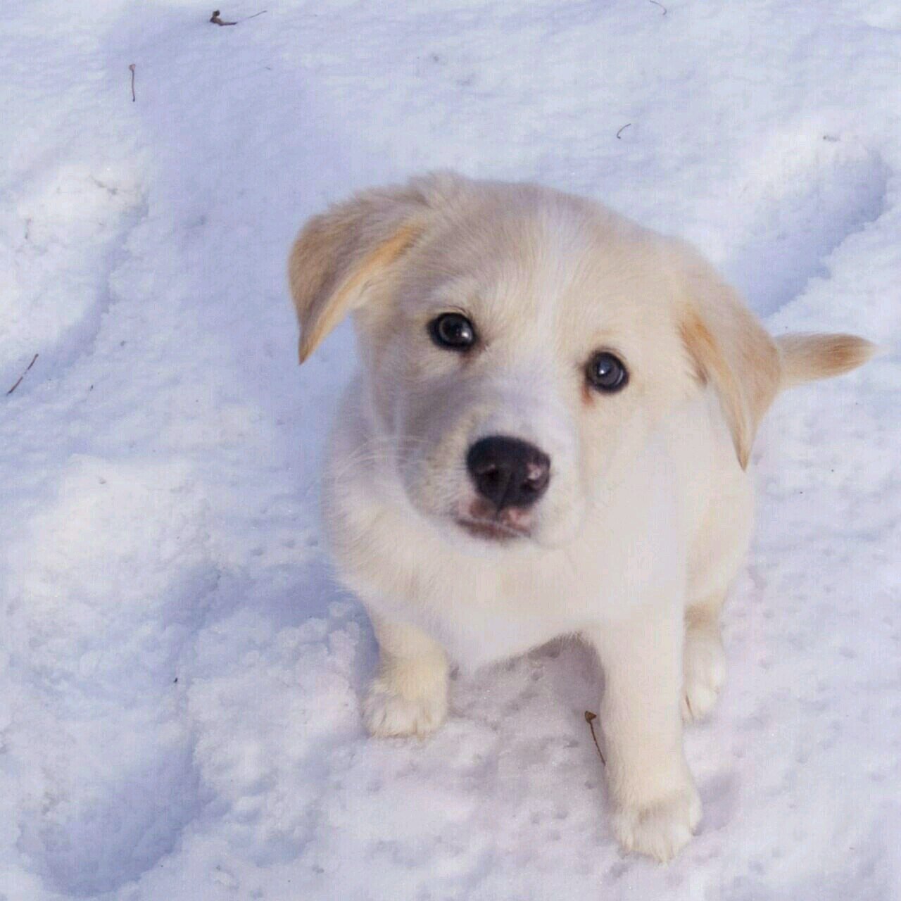 SHORTYLI's profile picture. 