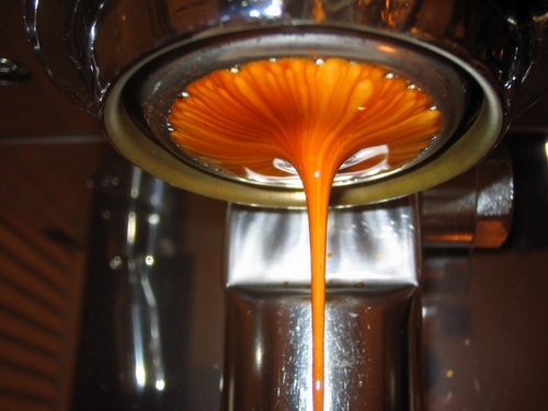 WCRcoffee Profile Picture