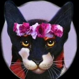 Who needs starclan when you have #swag