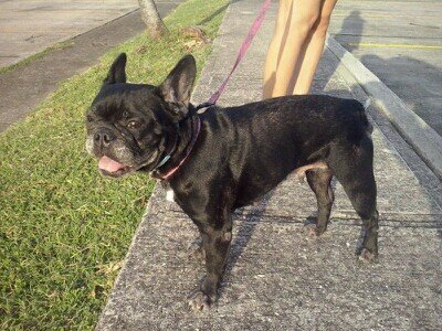 LlovellMoshe's profile picture. 