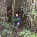 Estrella Freire T. - @EstrellaFreireT - Twitter