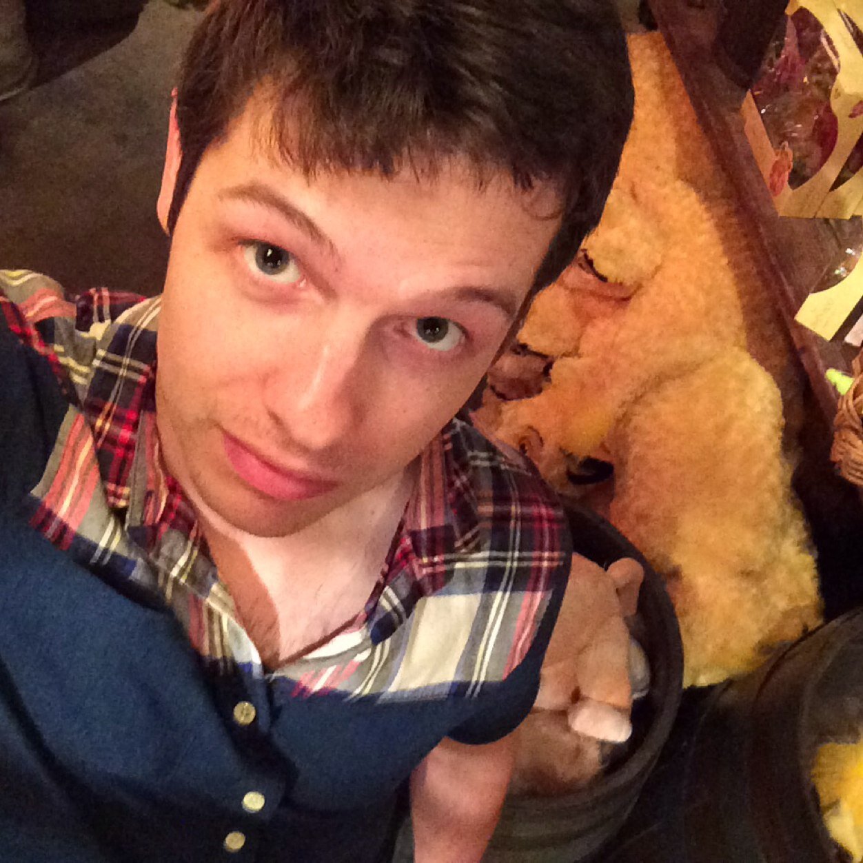 ChrisKotera's profile picture. I had a life in the before time. This is my life now. He/him/his