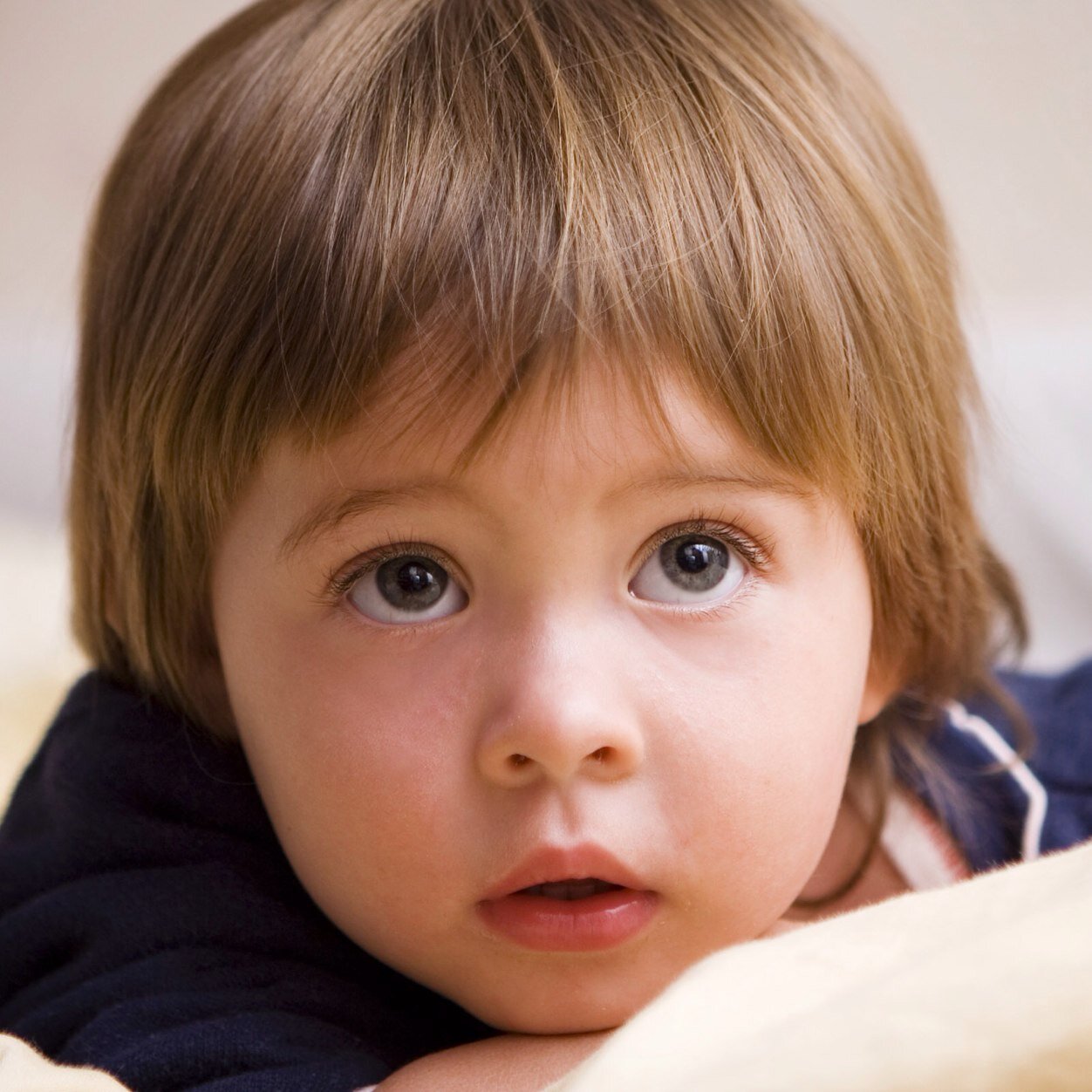 Shadow12567's profile picture. Hi I'm Shadow.Best Mommy: @Slythern_ & Best Daddy: @LAST_ASSASSIN12 . I can't talk yet. I'm half Russian. I'm 5 years old.#Sweet #Assassin #Vampire