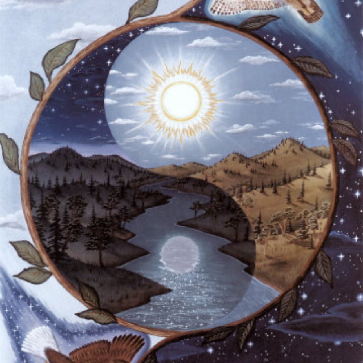 naturevibes's profile picture. 