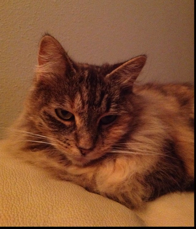 debbie_debl0815's profile picture. 