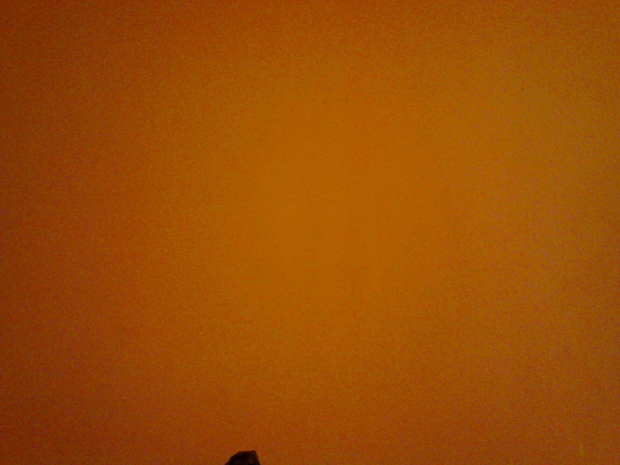 veritobeatrizhc's profile picture. 