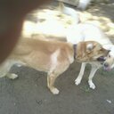 danny higgins - @higgy4949 - Twitter