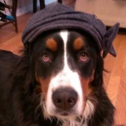 hillarymac's profile picture. 