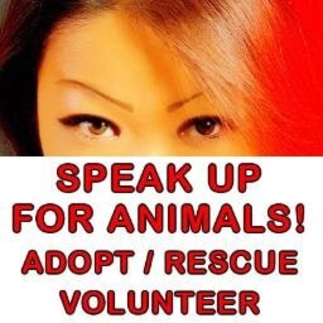 I'm a huge #cats & #dogs lover. I volunteer for animal rescues & for homeless people. #karma #adopt #rescue #foster unfollow=unfollow