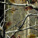 Dana Warner - @DanaDw96 - Twitter