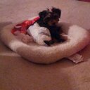 Anisha - @AnishaYoung - Twitter