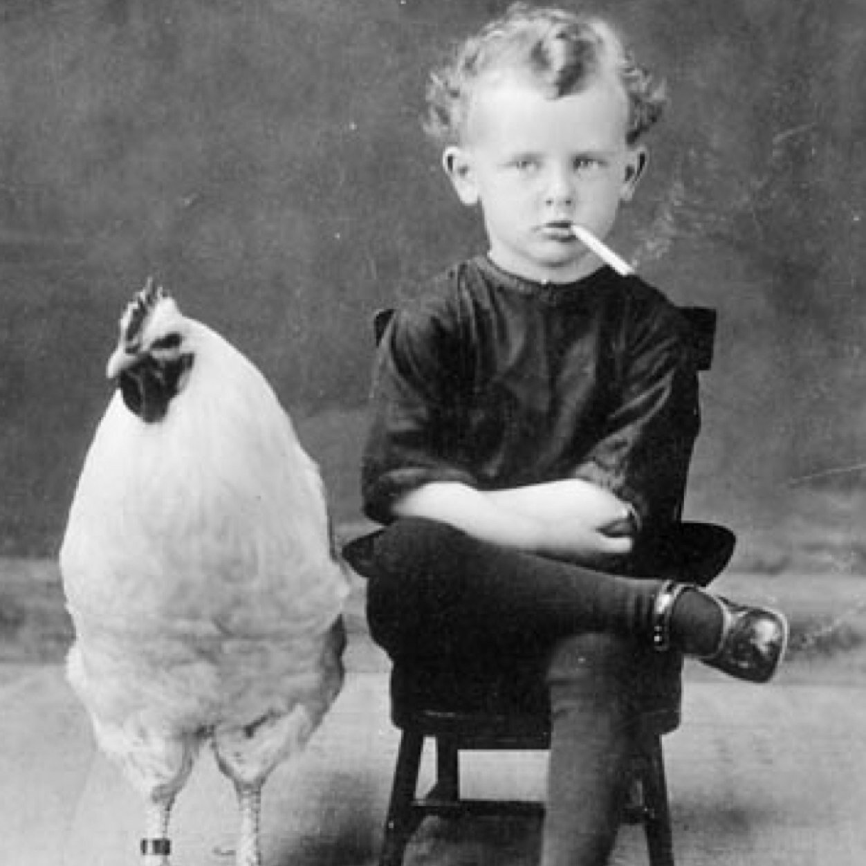 jayrayworld's profile picture. human. mostly.  Host of @BeerThursdayShow and @EveryRushSong