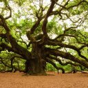 Ellen Delaney - @elliemaree33 - Twitter