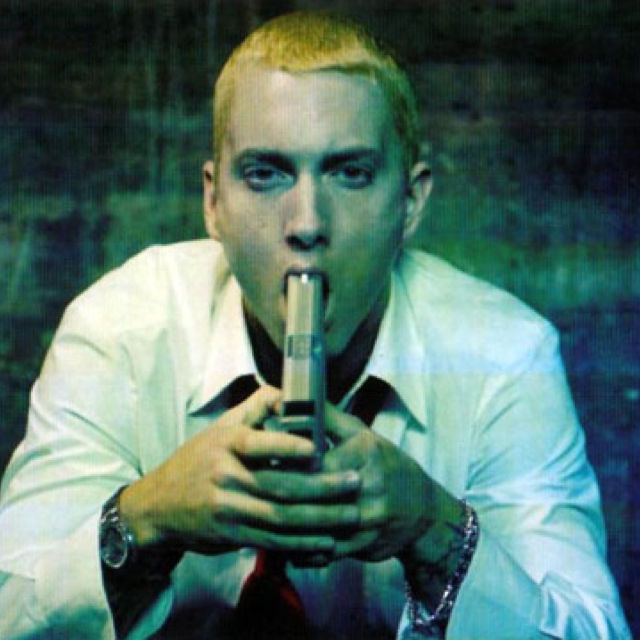 Screamin' Shady Till I Die
