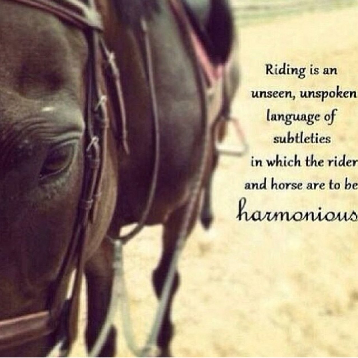 ItsRiley10125's profile picture. Hey. I'm Riley.  Aaron and Ethan are my mains.
From her cowboy boots to her down home roots; from the song she plays to the prayer she prays, brota shes country