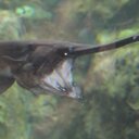 Jamie red knapp - @knapp_red - Twitter