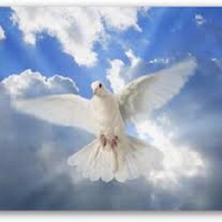 God with us (@god_withus4ever) 's Twitter Profile