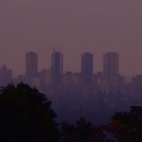 caladri's profile picture. corrective emotional experience enthusiast. existential crisis accelerator.