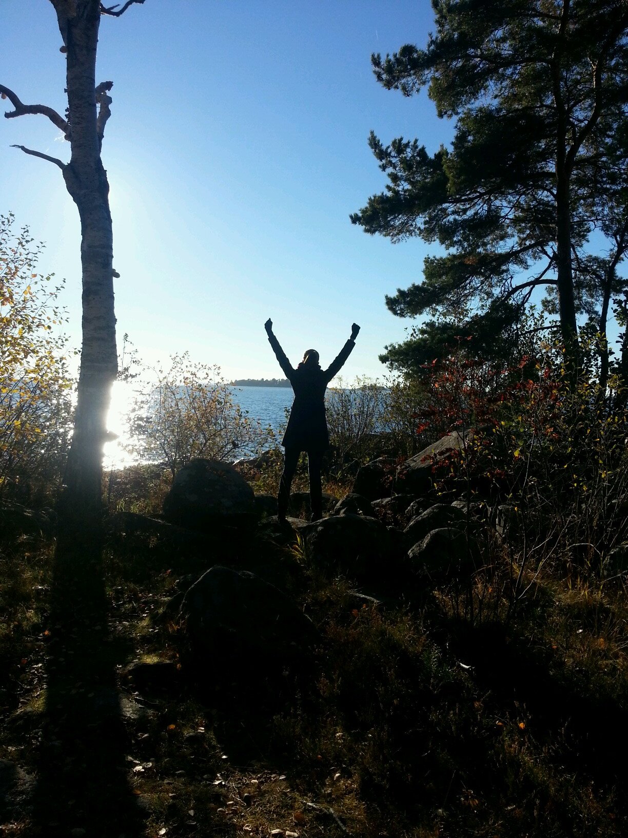 MissOesth's profile picture. Jobbar med 'data', lagom intresserad av mycket. Läser mest, skriver sällan och retweetar ibland