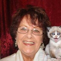 Betty Greenlee - @BettyGreenlee1 Twitter Profile Photo