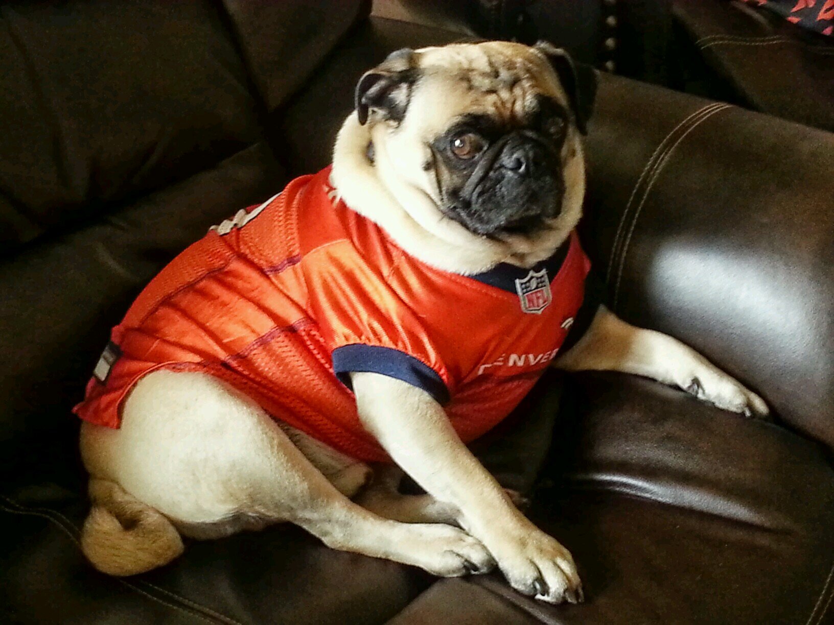 Go Broncos!