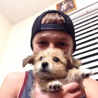 Jacob's Brother (@lil_purchase) 's Twitter Profile