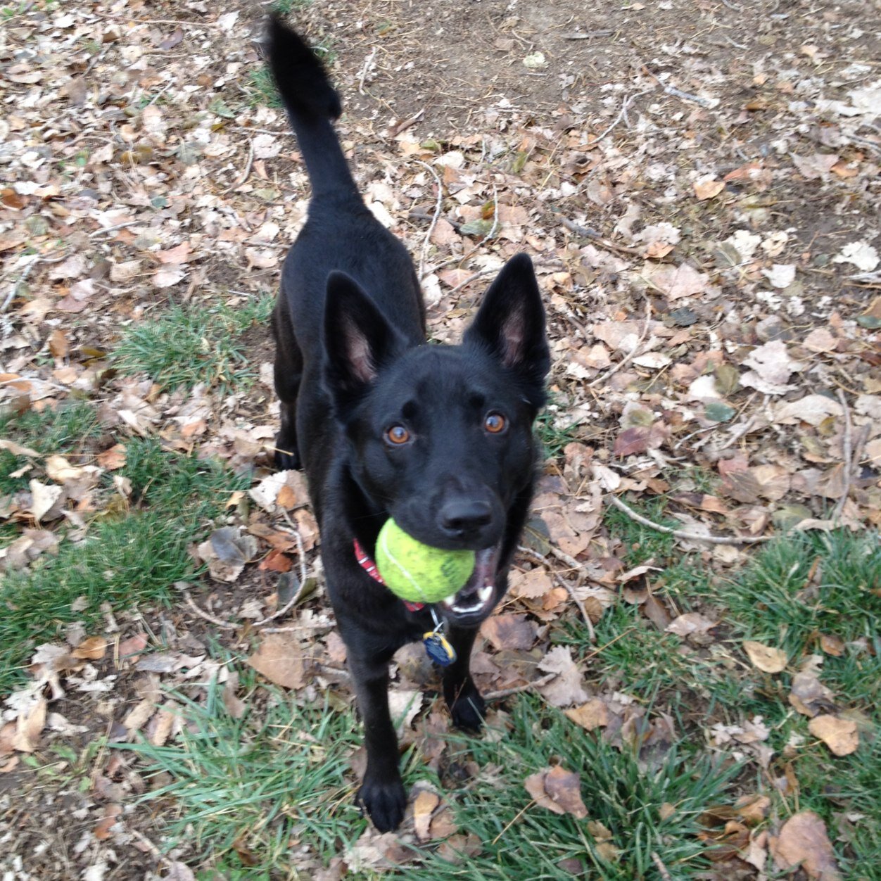 bab533's profile picture. Baseball guy.