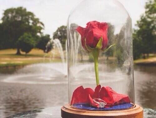 jwilcox_'s profile picture. addicted to good music $ fun live