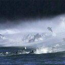 Jorge llano - @g2050g - Twitter