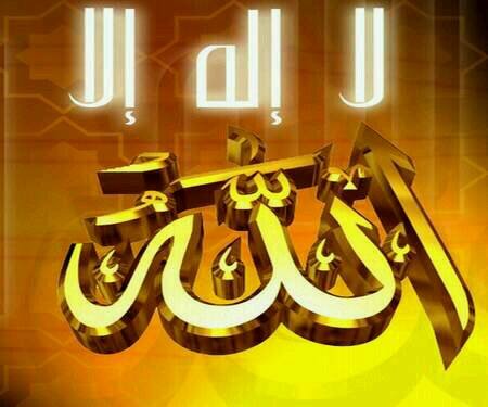 ‏حاصله علي بكالريوس خدمه اجتماعيه2003