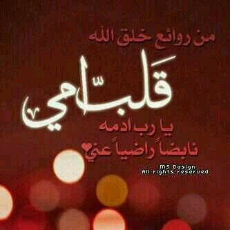 .......غرد بالصور ....