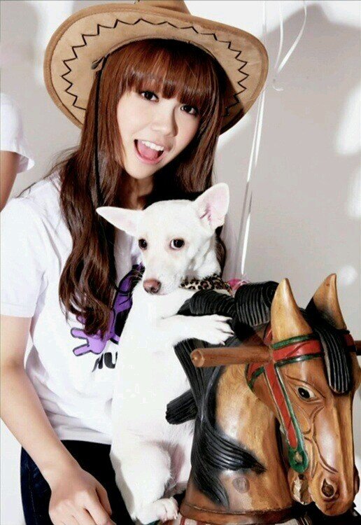 k-pop 大好き ♡♡ sm family big love (*^^*)