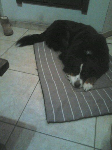 QuintensSteve's profile picture. 