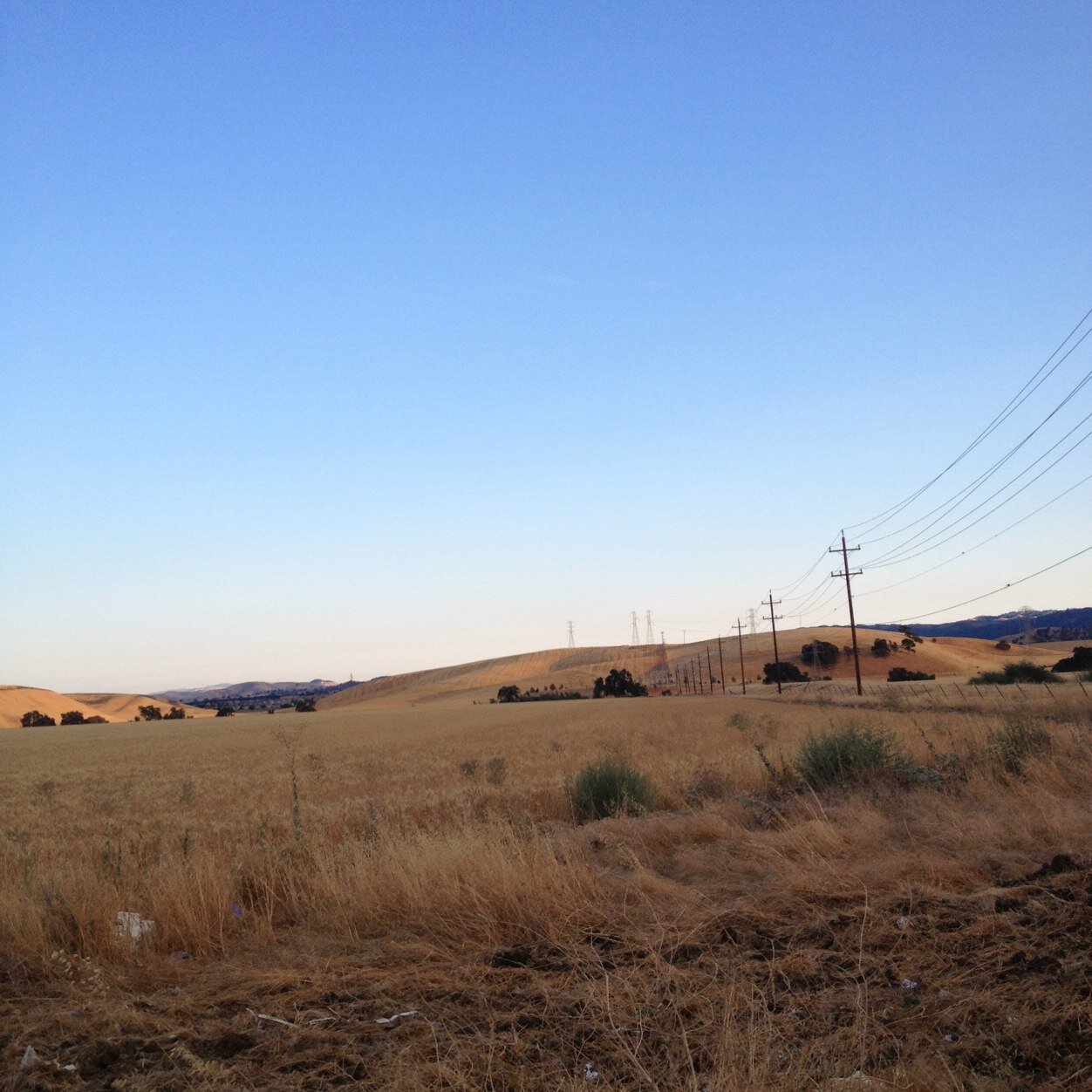 Tamtam911's profile picture. 