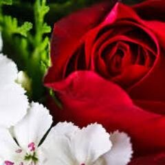 Shimni0's profile picture. 