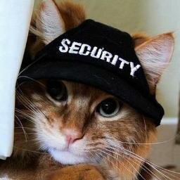 Security Fails