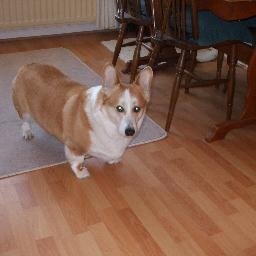 AlanHulse1's profile picture. I am retired, past Joiner, Site Manager, Surveyor, Director.
50 years a member of St John Ambulance Cheshire.
Like Gardening, Caravaning & Sailing.