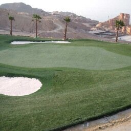 VanderleeMike's profile picture. Kunstgras Golf specialist