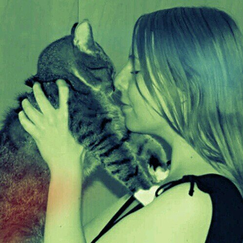 AngeliquePasche's profile picture. Mother, wife and animal rights activist with love of all animals even insects ;)