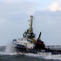 pieterschraal's profile picture. 