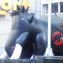 基本的にクリエーターさんやアクセサリー、面白い＆琴線云々関係の所に、お邪魔するケモナーです(ﾏﾃ
( ´ ▽ ` )

毒も含めて適当に呟きます。

サモンズボード、My singingmonstersなどのアプリをメインに遊んでます
|・ω・)